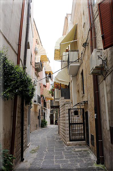 foto Bari Vecchia